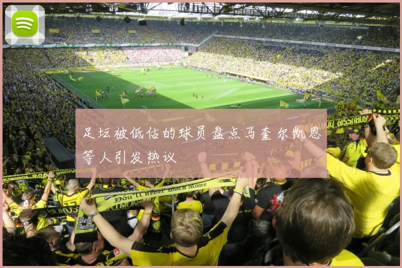足坛被低估的球员盘点马奎尔凯恩等人引发热议
