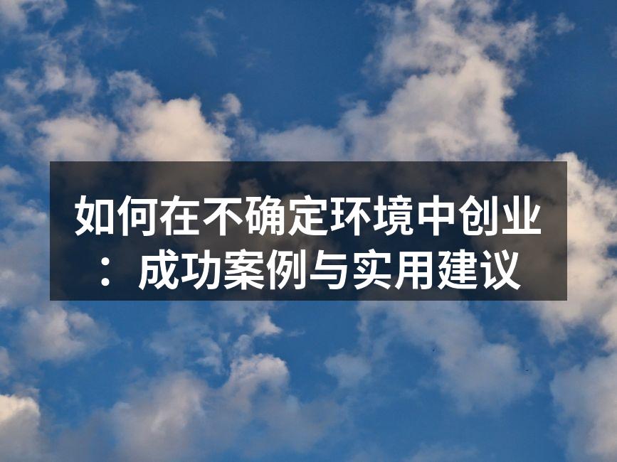 如何在不确定环境中创业：成功案例与实用建议