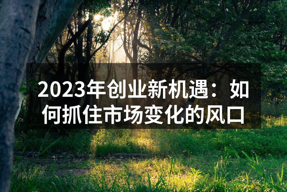 2023年创业新机遇：如何抓住市场变化的风口