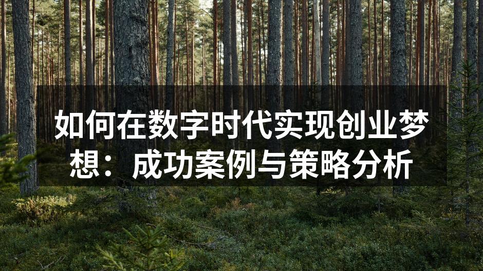 如何在数字时代实现创业梦想：成功案例与策略分析